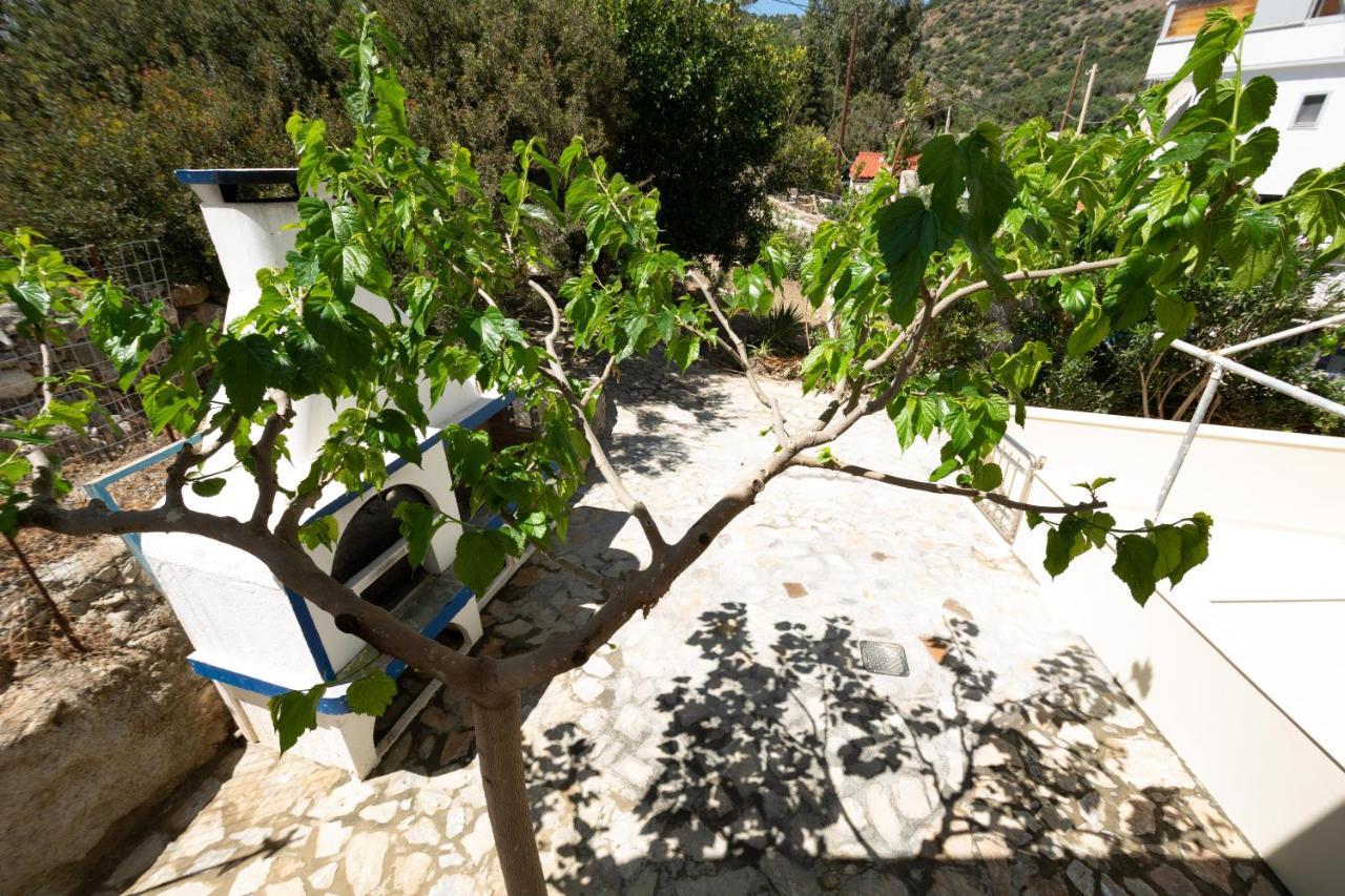 Theaktis Homes كالوي ليمين المظهر الخارجي الصورة